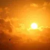 mariam.albadr