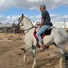 moshe_43