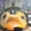bitchescallmestink