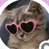 lolleah.com