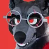 circusraccoon