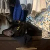 laynie.14