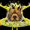 teampit1