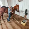 flyingxequine