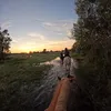 The wildlife diary