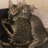 jackandbea