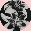 ndcml_