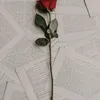 chay_sl66