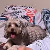 michaelaraye41