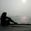 nhf.com