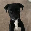 aalizayy
