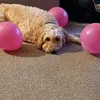 ailsamcnaughtonxx