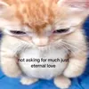 sonnyangelplz