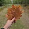 leafwhisp