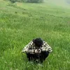 spirajli