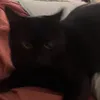 srhgrcylg