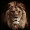 leo.lopez0413