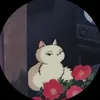mattchayuuu