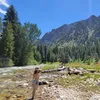 acacia_kauffman
