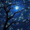 siratalmustaqeem_