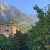 claudia_181090a.23