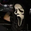 alexxx_mitch