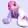 elephant_bean