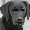 sjukryddor