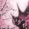 imane071976