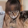 urcutehahax