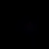 user.101001100