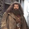 hagrid.is