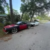 pookie_performance