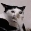 bweepbweepbeep