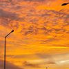 skyliora._