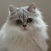 annabannaanaa