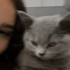 mirvat_01