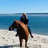 pam_horse