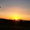 lolirodriguezacua
