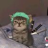 lucykore