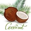 onecoconut01