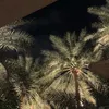 bynss9