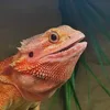 🧡 Freya 🧡