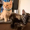 poopooopants00
