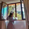 nicollems_