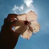 thisisandi01