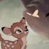 r_almn