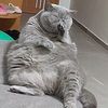 39189