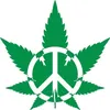 peaceandloveandhaley