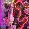 kaitlynbrianna0_